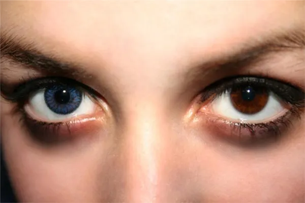 Как выглядят янтарные глаза 4