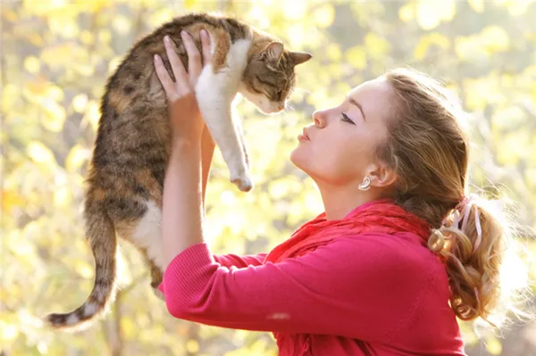 Как умирают кошки от почечной недостаточности 5