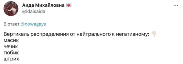 Масик, чечик, тюбик, штрих: кто все эти люди - Новости Калининграда | Скриншот Twitter