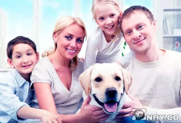 Родители не против завести собаку в доме