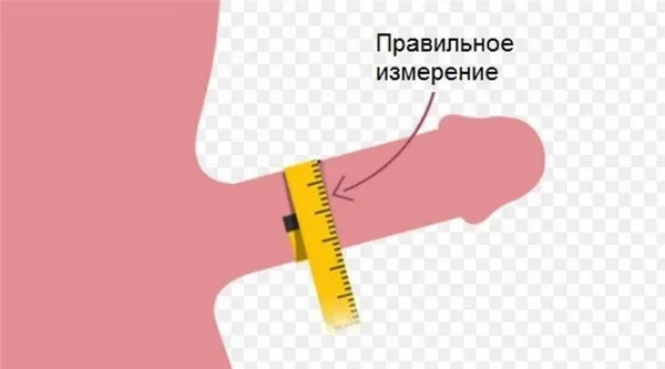 Правильное измерение объема пениса