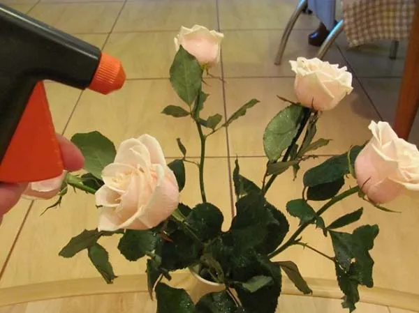 Что добавить в воду для роз чтобы дольше простояли в вазе в домашних условиях зимой 4