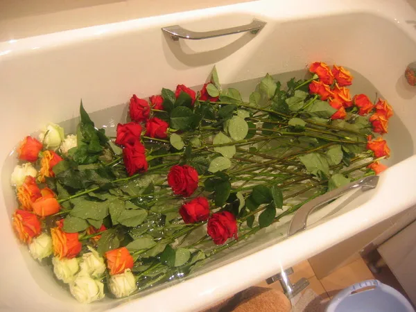 Что добавить в воду для роз чтобы дольше простояли в вазе в домашних условиях зимой 8