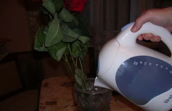 Что добавить в воду для роз чтобы дольше простояли в вазе в домашних условиях зимой 6
