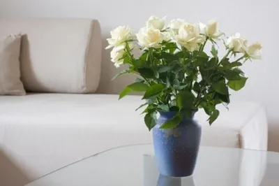 Что добавить в воду для роз чтобы дольше простояли в вазе в домашних условиях зимой 2