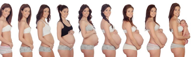 stages-of-pregnancy-week1
