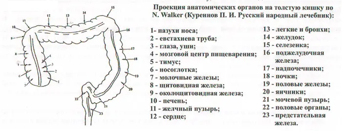 Что означает понятие светский брак 8