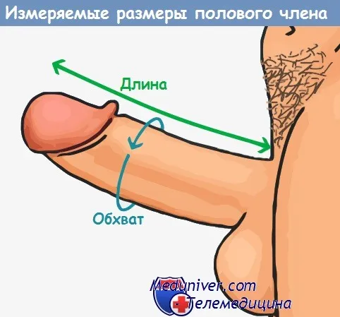 Что меняется в организме девушки после первого раза 5