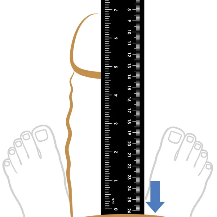 Как измерить длину пениса 3