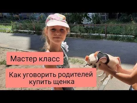 Как убедить родителей в том, что вы вольны сами выбирать свою карьеру: 7 полезных советов