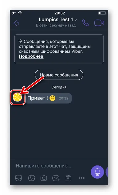 Viber для iOS фото собеседника в чате возле присланного им сообщения