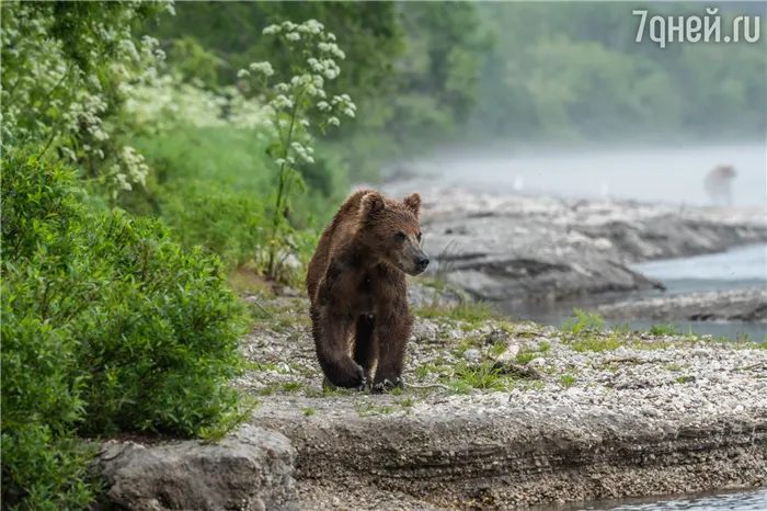 Где лучше жить на дальнем востоке 7