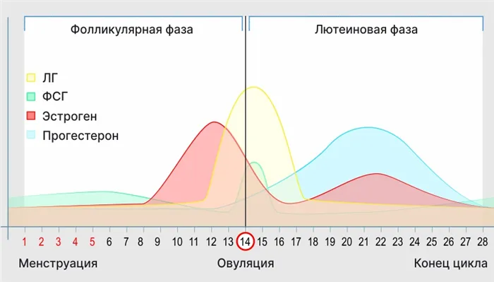 Где находится девушки пленка 3