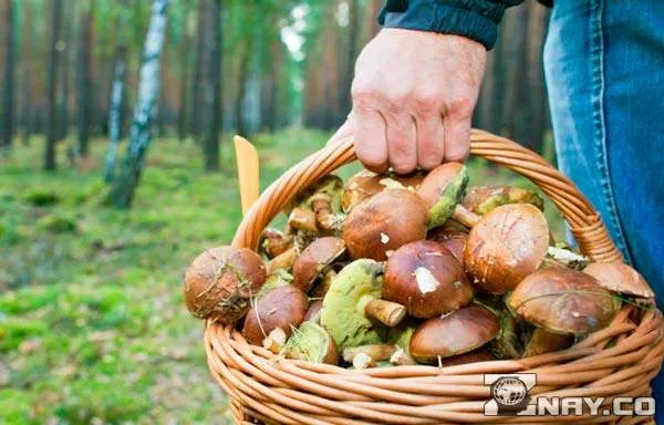 Закупки и питание во вторую неделю