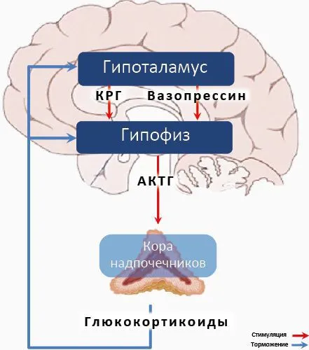 Ощущение западни, ловушки или пойманности.